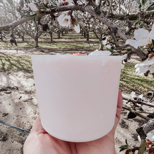 Glass Refill- drop in wax