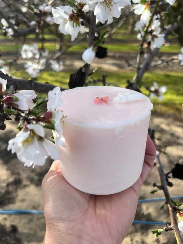 Glass Refill- drop in wax